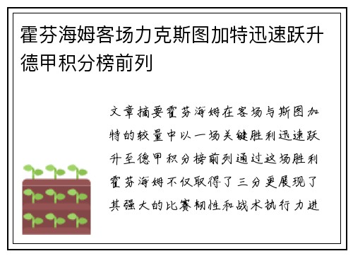 霍芬海姆客场力克斯图加特迅速跃升德甲积分榜前列