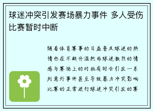 球迷冲突引发赛场暴力事件 多人受伤比赛暂时中断