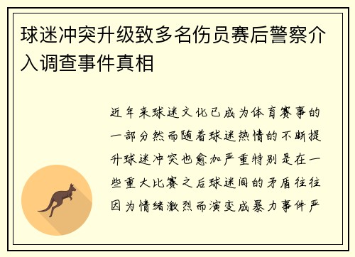 球迷冲突升级致多名伤员赛后警察介入调查事件真相